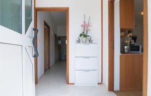 Kuchyň nebo kuchyňský kout v ubytování One-Bedroom Apartment In Podgradina