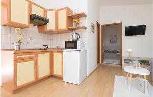 Kuchyň nebo kuchyňský kout v ubytování One-Bedroom Apartment In Podgradina