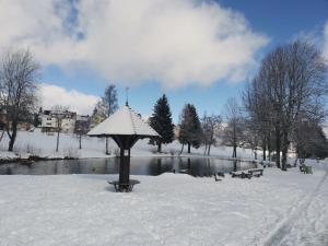 a park covered in snow with a pond and benches at Ferienwohnung Schöne Wohnung 2d-Gebäude mit Mini-garten in Schönwald
