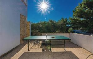 Stolní tenis v ubytování One-Bedroom Apartment In Vir nebo okolí