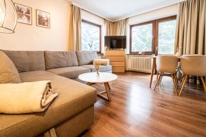 TV a/nebo společenská místnost v ubytování Bergzeit Appartments