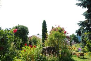 Zahrada ubytování Pension Krüger