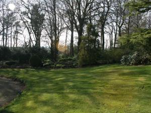 a yard with green grass and trees in the background at Burnhopeside Hall in Lanchester