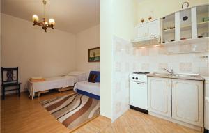 Kuchyň nebo kuchyňský kout v ubytování Cozy Apartment In Vlasici With Wifi