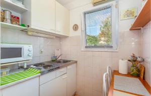 una pequeña cocina con fregadero y microondas en 1 Bedroom Beautiful Apartment In Linardici, en Linardići