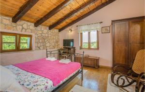 Telewizja i/lub zestaw kina domowego w obiekcie Nice Home In Gostinjac With Wifi