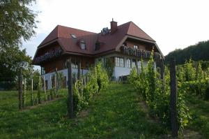 Zahrada ubytování Weinlandhof