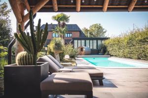 梅赫伦Boris & Barney的带游泳池和房子的后院