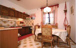 a kitchen and dining room with a table and chairs at Amazing Apartment In Raslina With 2 Bedrooms And Wifi in Raslina