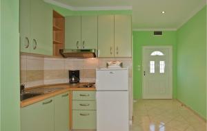 a kitchen with green walls and a white refrigerator at Awesome Home In Privlaka With 2 Bedrooms And Wifi in Privlaka