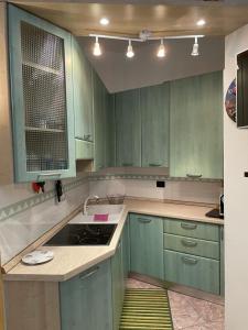 a kitchen with green cabinets and a sink at Menton centre Vue imprenable sur mer et jardin Biovès in Menton