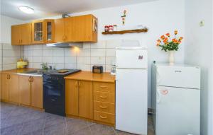 Kuchyň nebo kuchyňský kout v ubytování Holiday Home Pucisca 15