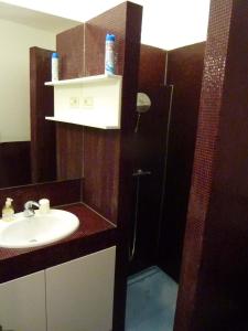 a bathroom with a sink and a shower at Apartment Old Town Design in Rab