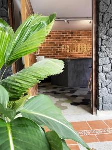 a large green plant in front of a building at Ayenda 1224 Pixel House in Medellín