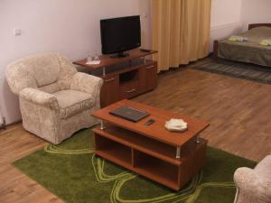 a living room with a tv and a chair and a table at Bazeni Baikal in Topola