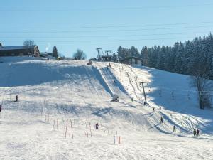 Chalet in Ellmau near Ski Slopes v zimě