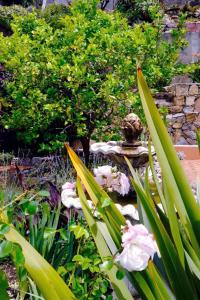een tuin met een standbeeld en enkele planten en een boom bij Villa d'Artisti in Sanremo
