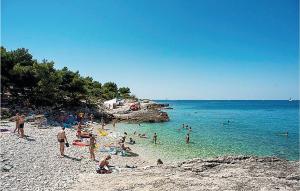 um grupo de pessoas em uma praia na água em 5 Bedroom Stunning Home In Liznjan em Ližnjan
