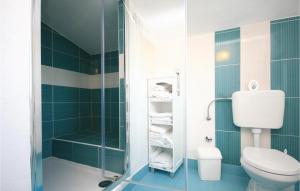 a bathroom with a toilet and a shower at Holiday Home Drinovci With A Fireplace 444 in Drinovci