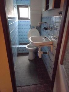 a bathroom with a toilet and a sink at Apartmán u Kynských in Horní Lánov