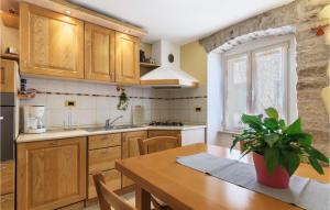 Kuchyň nebo kuchyňský kout v ubytování Apartment Brionska Croatia + 15 fotografií