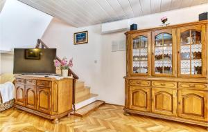TV a/nebo společenská místnost v ubytování Gorgeous Home In Mali Losinj With Wifi