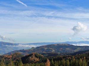 a view of a mountain range with trees and clouds at Chalet in Klippitzt rl in ski area with sauna in Klippitztorl