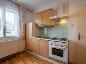 a kitchen with a stove and a sink and a window at Beautiful apartment with swimming pool in Tröpolach