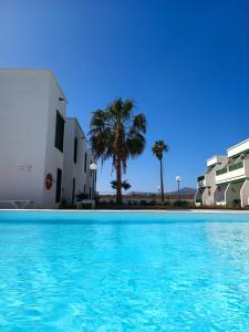 a pool in front of some buildings and palm trees at Apartamento Mimosas Pocillos in Puerto del Carmen
