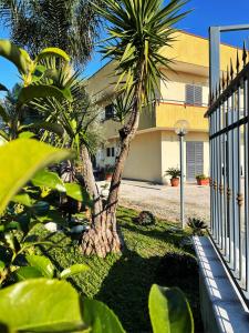 Quelques palmiers devant un bâtiment dans l'établissement Casa Vacanze Paradise, à Santa Maria La Carità