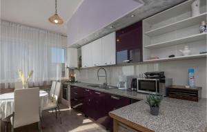 a kitchen with a counter top with a microwave at Beautiful Apartment In Makarska With 2 Bedrooms And Wifi in Makarska