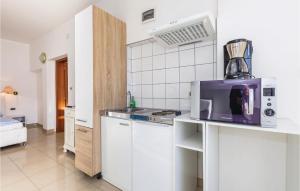 奧帕蒂亞的住宿－阿帕提加11號海景度假屋，厨房在柜台上配有微波炉