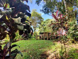 Taman di luar Vista Turrialba Lodge