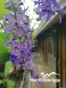 Foto da galeria de Vista Turrialba Lodge em Turrialba