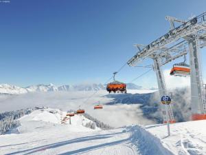 Apartment in Viehhofen near Ski Lifts v zime