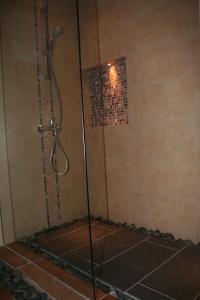 a shower with a glass door in a bathroom at Dodola Lodge in Pereybere