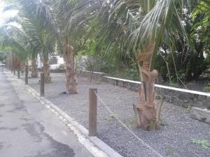 Foto dalla galleria di Dodola Lodge a Pereybere