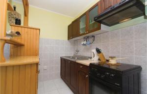 a kitchen with a sink and a black dishwasher at 3 Bedroom Gorgeous Apartment In Blato in Prizba