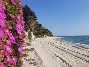a beach with pink flowers on the side of it at Fanari Stone House in Komotini
