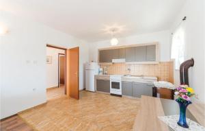 une cuisine équipée d'appareils en acier inoxydable et de placards gris dans l'établissement Cozy Apartment In Kustici With Wifi, à Kustići