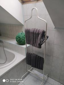 een handdoekenrek in een badkamer naast een wastafel bij Apartament przy Słonecznej in Szczyrk