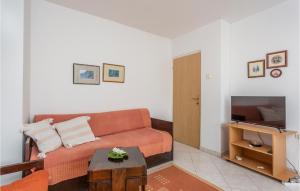 a living room with a couch and a television at Amazing Apartment In Vantacici With Kitchen in Vantačići
