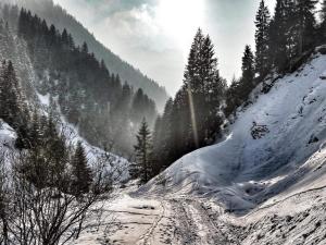 Apartment in Gaschurn near Ski Lift v zime