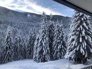 Galeriebild der Unterkunft Premium apartment in ski area Bad Kleinkirchheim in Bad Kleinkirchheim