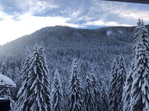 Galeriebild der Unterkunft Premium apartment in ski area Bad Kleinkirchheim in Bad Kleinkirchheim