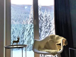 Galeriebild der Unterkunft Premium apartment in ski area Bad Kleinkirchheim in Bad Kleinkirchheim