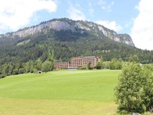 ein großes grünes Feld mit einem Gebäude vor einem Berg in der Unterkunft Holiday apartment in Tauplitz with sauna in Tauplitz