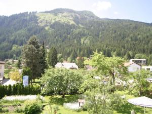 a view of a town with a mountain at Apartment in Feld am See with lake access in Feld am See