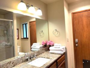 Ένα μπάνιο στο Yosemite Riverside Retreat with small beach access and air conditioning +14 φωτογραφίες
