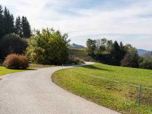 a winding road in the middle of a field at Cosy holiday home with private pool in Eberstein